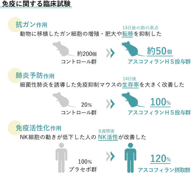 アスコフィランHS臨床試験イメージ